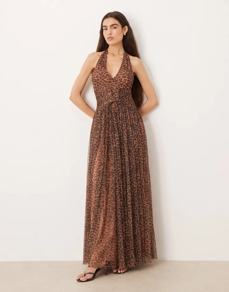  Lace & Beads Vestido Largo Estilo Corsé Con Estampado De Leopardo Y Cuello Halter De Tul Daphne De Lace & Beads-brown 