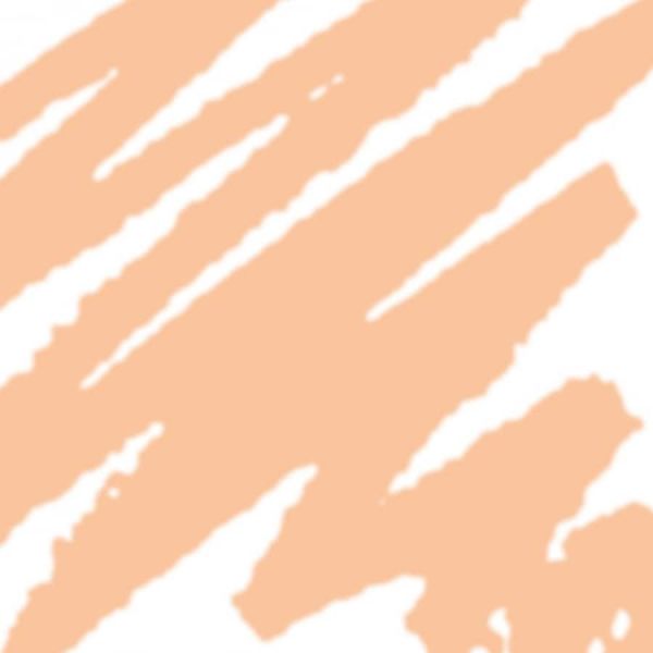  Dermacol   Acne Cover Correctores 3 G 2 