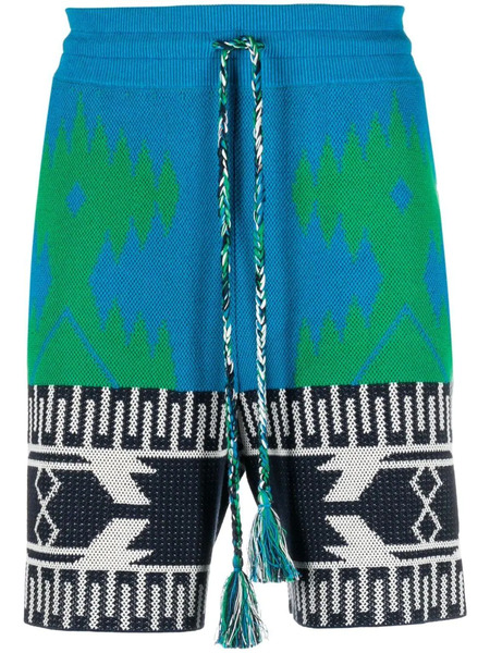  Alanui Bermudas Con Estampado Abstracto - Azul 