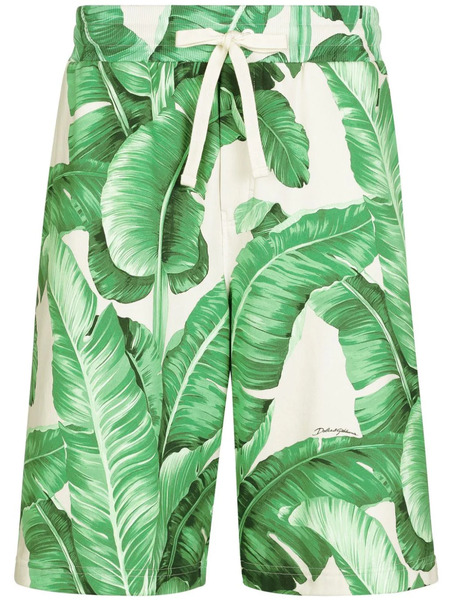  Dolce & Gabbana Pantalones Cortos De Deporte Con Hojas Estampadas - Verde 