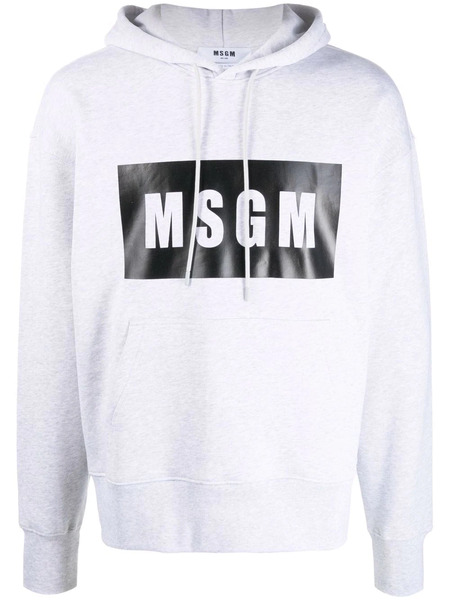  Msgm Sudadera Con Capucha Y Logo Estampado - Gris 