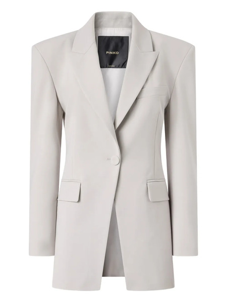  Pinko Plumífero Con Botones - Gris 