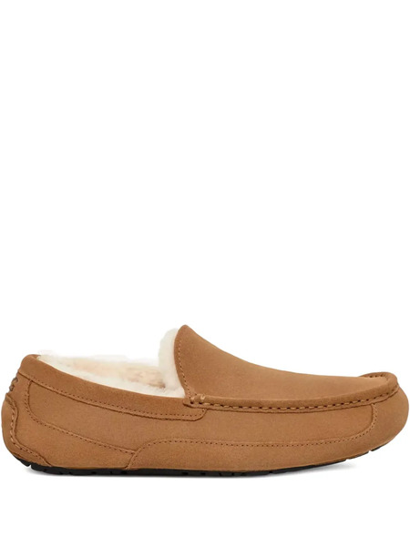  Ugg Slippers Ascot - Marrón 