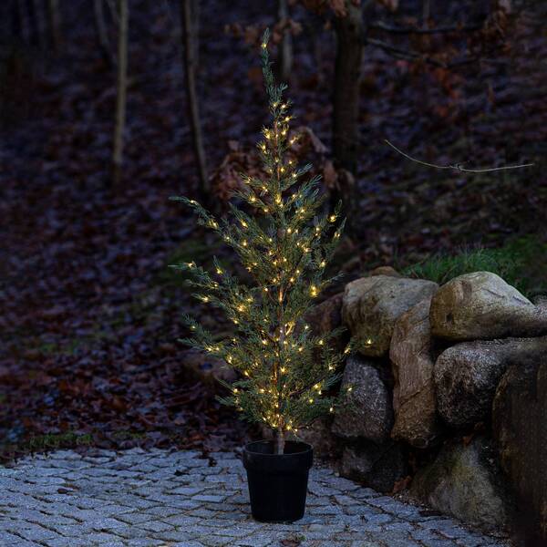  Sirius Sirius árbol Led Milas Cedar Tree En Maceta, Para Exterior 