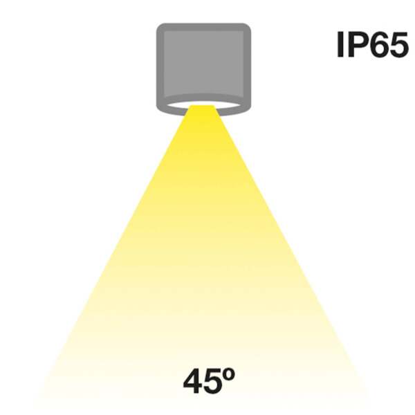  The Light Group The Light Group Slc Minione Fixed Led Downlight Ip65 Negro 927 
