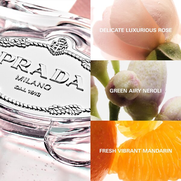  Prada Prada Infusion De Rose Eau De Parfum 100ml 