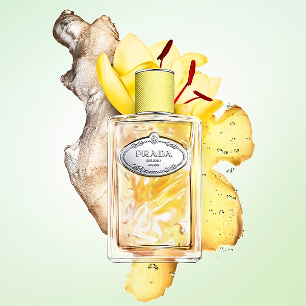  Prada Prada Les Infusions De Gingembre Eau De Parfum 100ml 