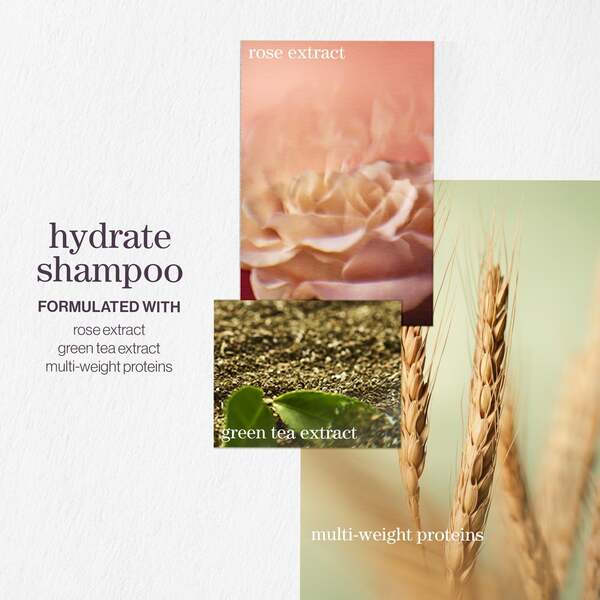  Pureology Pureology Hydrate Shampoo 1000ml 