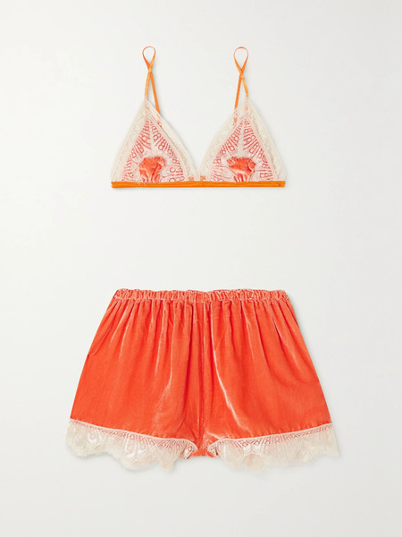  Sleeping With Jacques Sleeping With Jacques - + Net Sustain Julia Lace-trimmed Silk-blend Satin And Velvet Soft-cup Bra And Shorts Set - Orange 