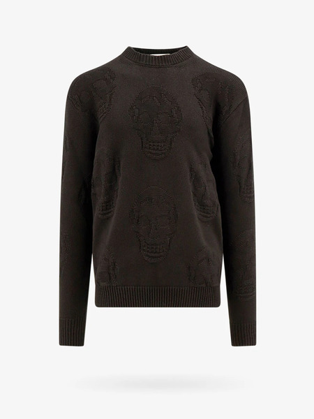  Alexander Mcqueen Sweater   Alexander Mcqueen   Man 