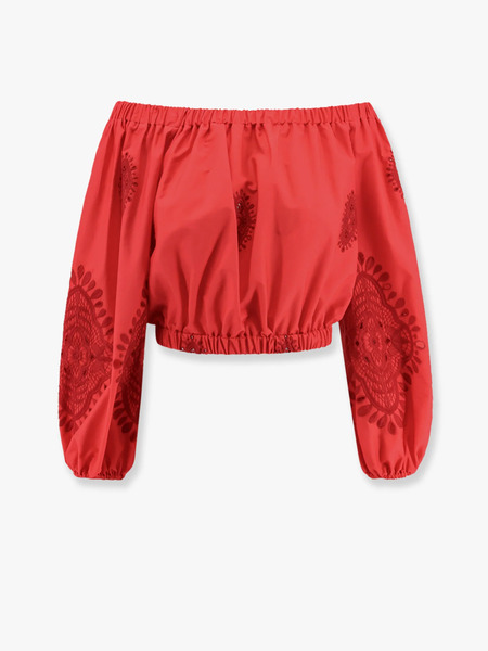  Lavi Tulip   Lavi   Woman 