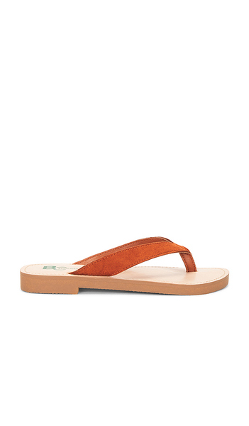  Seychelles Sandalia Deliah En Color óxido Talla 10  (también En 11, 6, 6.5, 7, 7.5, 8, 8.5, 9, 9.5). 