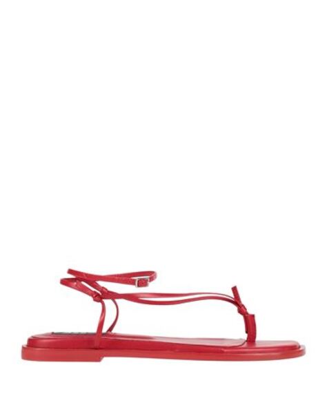  Msgm - Calzado - Sandalias De Dedo - On Yoox.com 