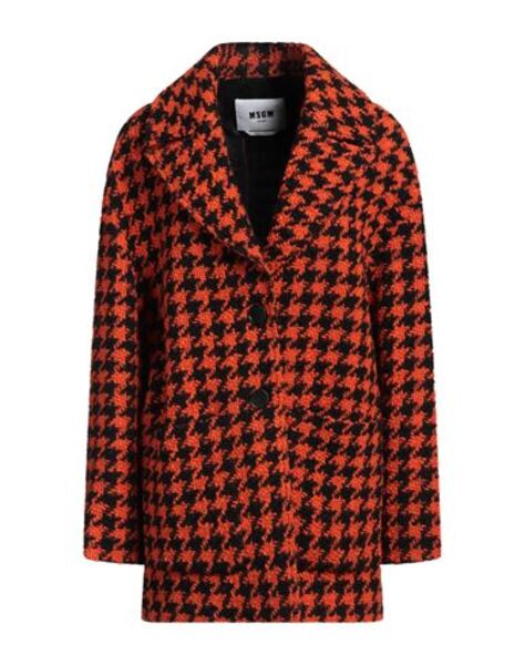  Msgm - Ropa De Abrigo - Abrigos - On Yoox.com 