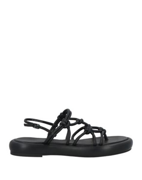  Studio Amelia - Calzado - Sandalias De Dedo - On Yoox.com 